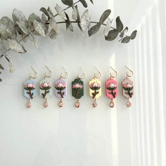 Proteas - Scalloped